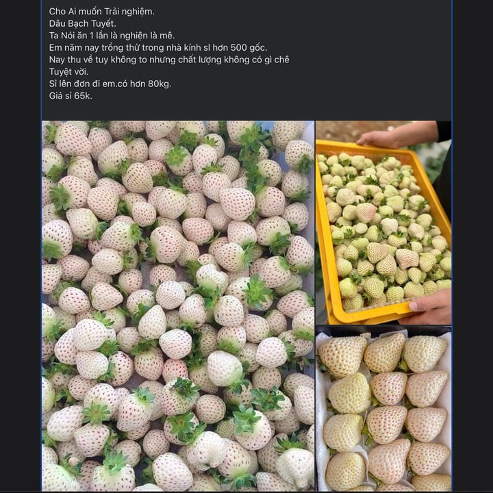 af47658b9a55a4b1cb21.jpg