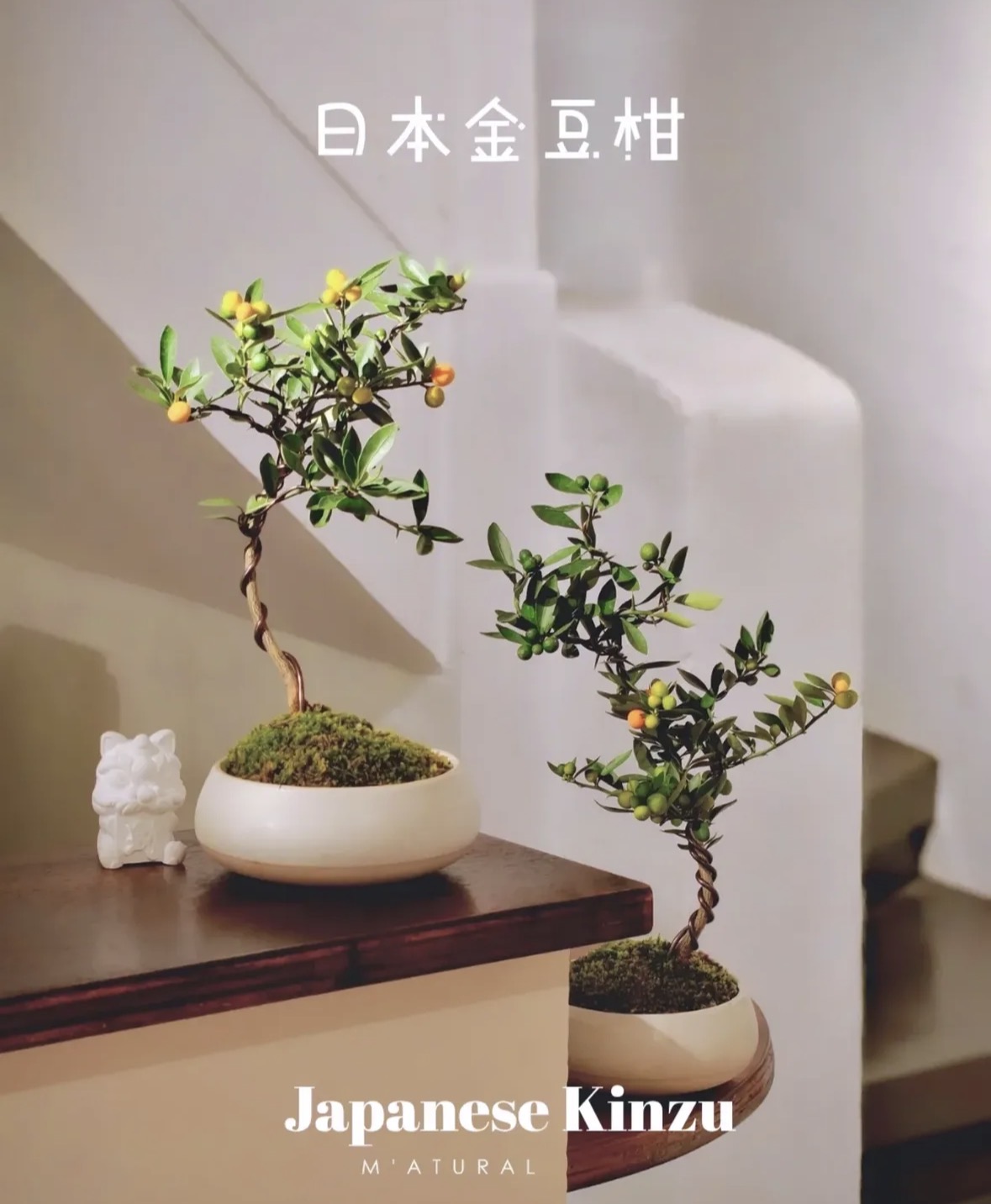 af61816cd41f07a78d48.jpg