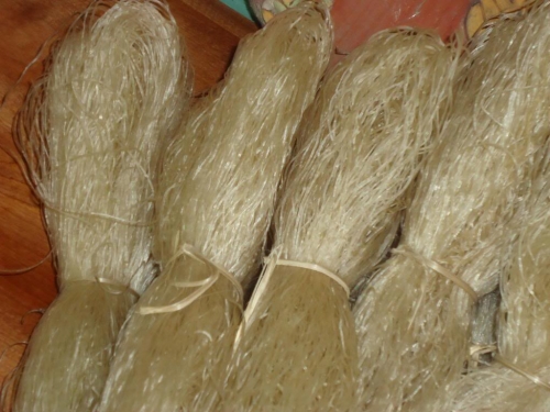 af92fde283ea322f7e3d.jpg