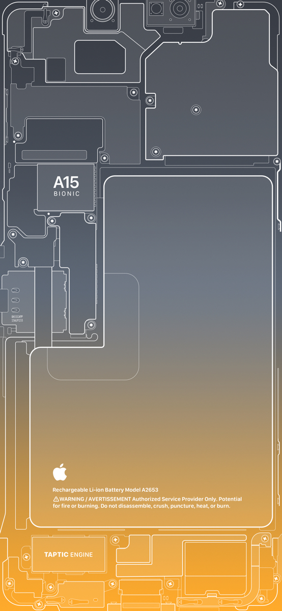 af956c7fe0aee311e634.jpg
