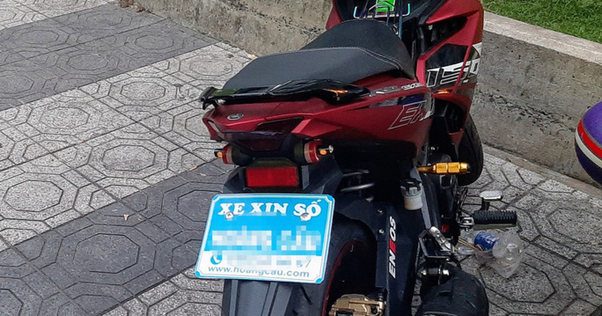 afe33ea13052aba53a92.jpg