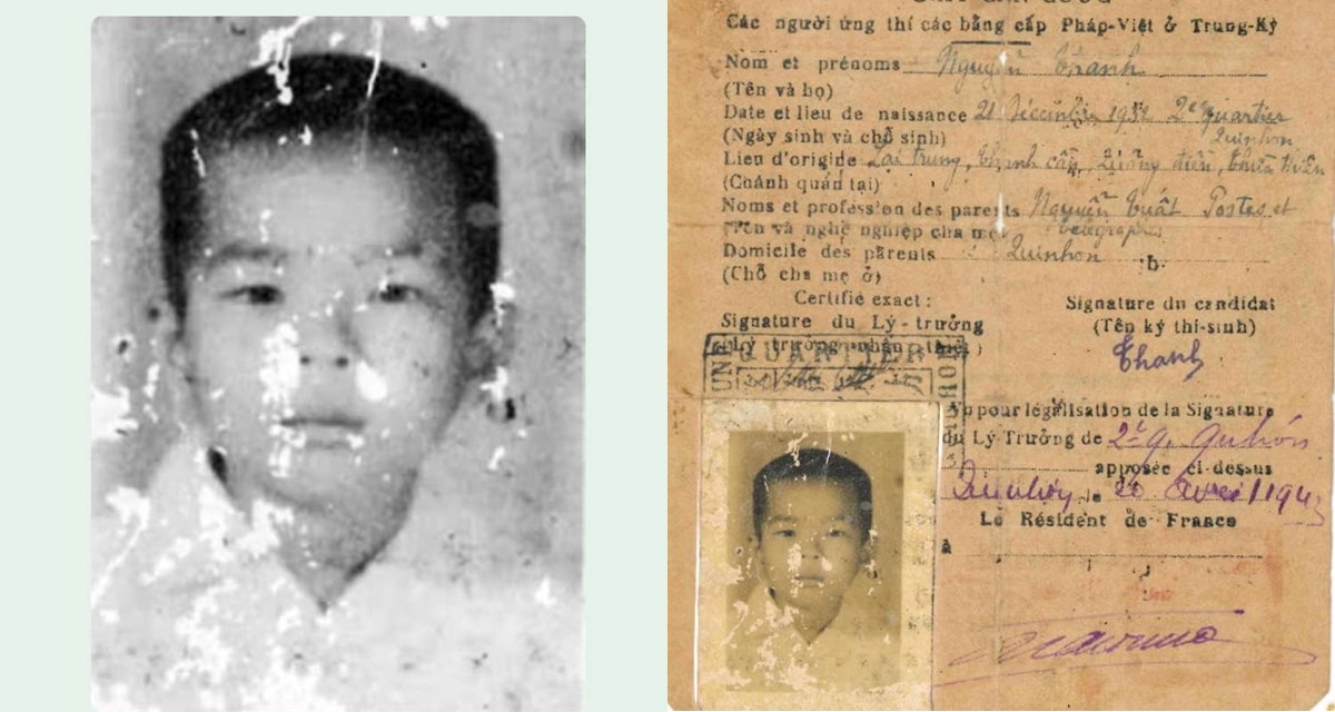 afe72efd851247401dee.jpg