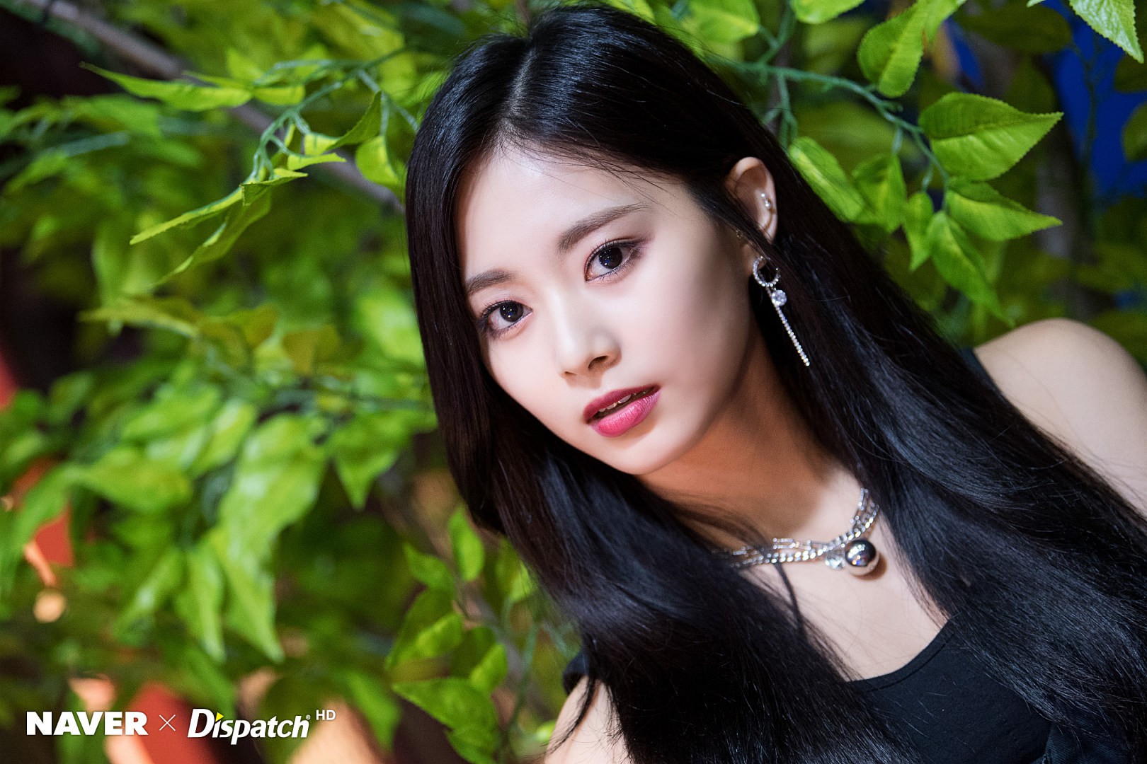 affd80f2d1e0535ae30c.jpg