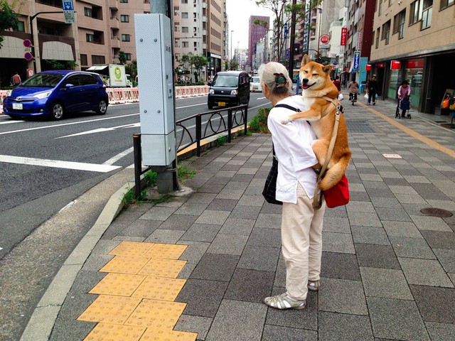 b065cc03d99162c4df72.jpg