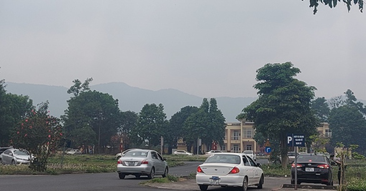 b065d7e66ba971241e85.jpg