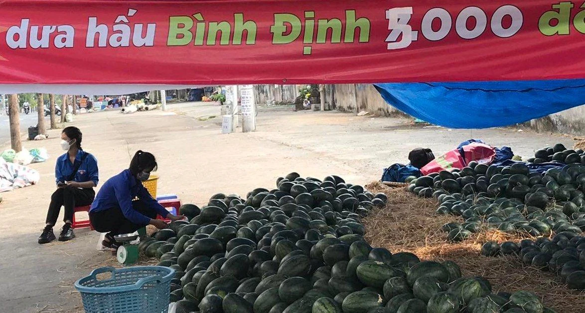 Giới trẻ Sài Gòn ra tay "giải cứu" dưa hấu cho bà con Bình Định