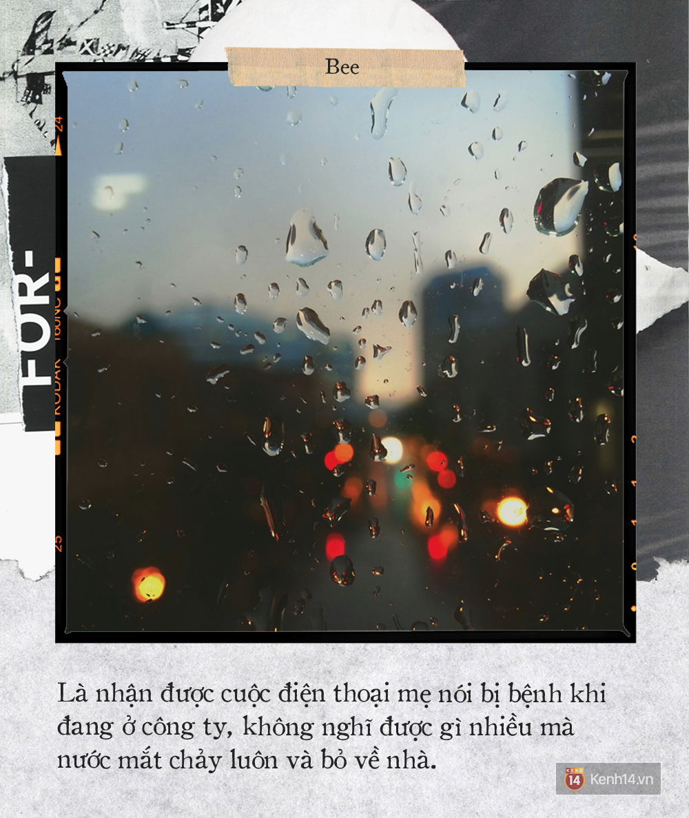 b0aeb9d88615d29f0a46.png