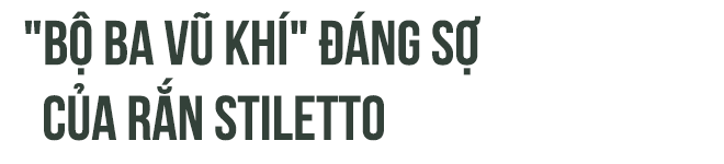 b0e09748216bfb49a6dd.png