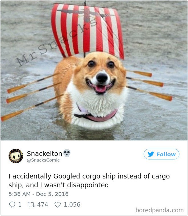 b0f46f105201a5e97e79.jpg