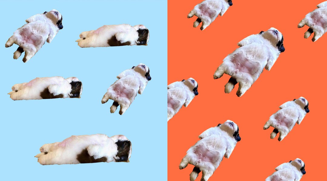 b0ffb34b859f066275c2.jpg