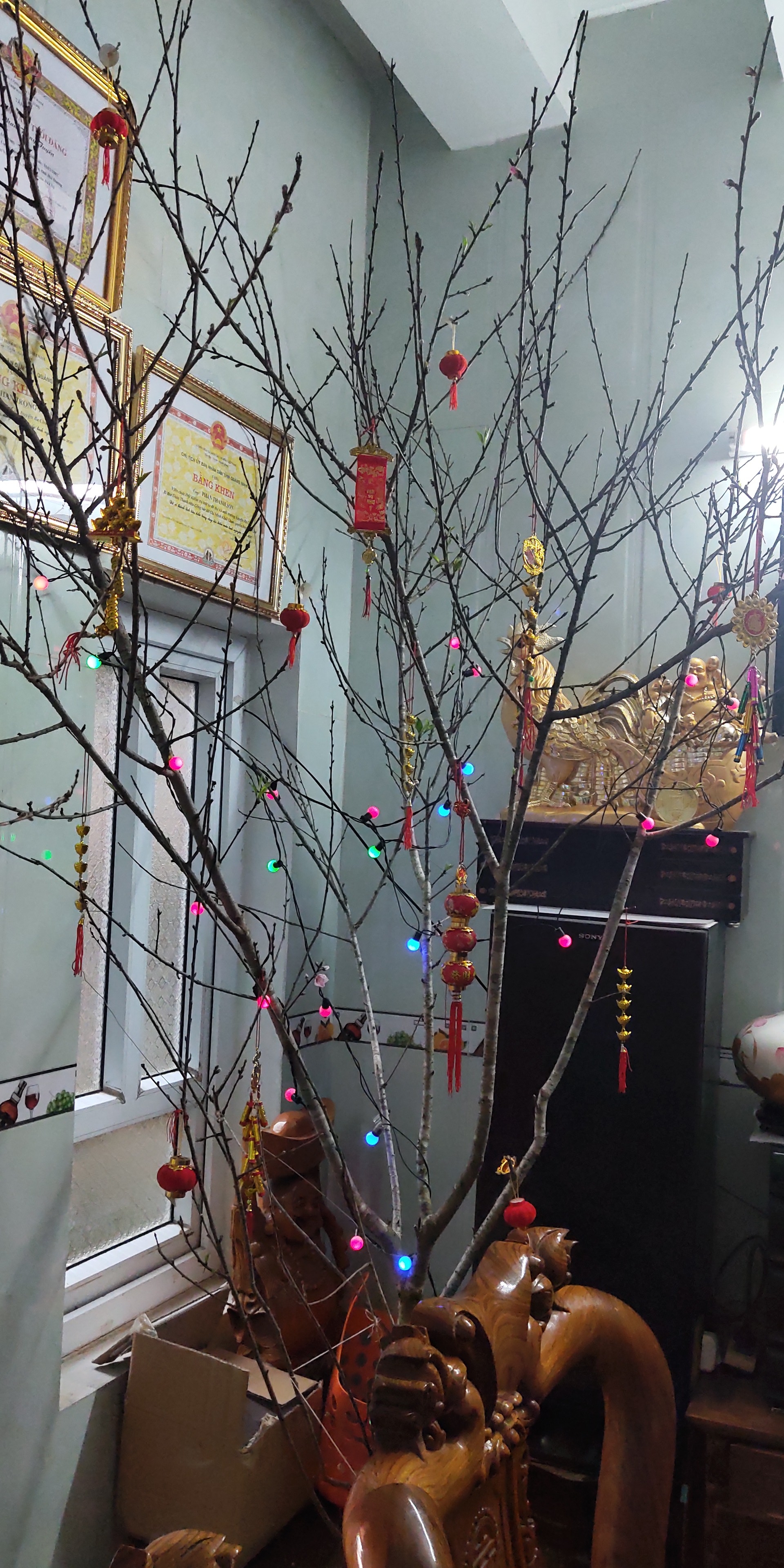 Tết đến rồi :) chill phết mọi người ơi!