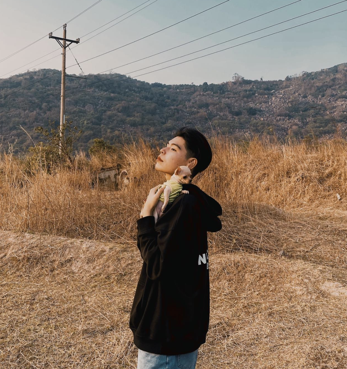 b1054fd10f1a8a6a2f33.png