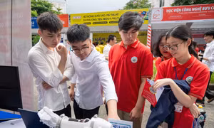b113be8817923c42628a.jpg