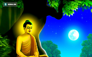 b144294508ea56b12334.png