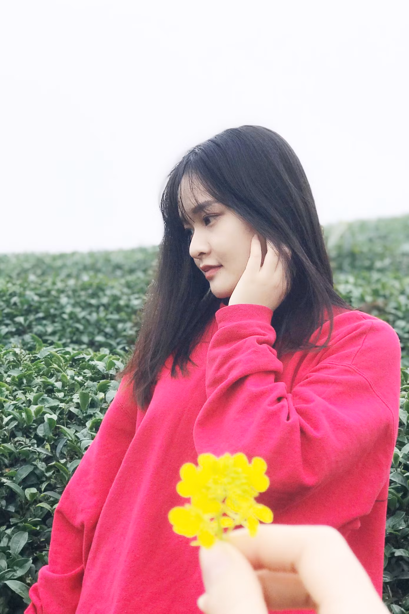 b152d031015dcb5726a0.jpg