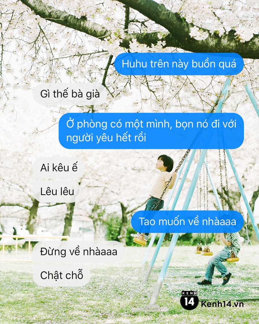 b19a995c75a86d81be70.jpg
