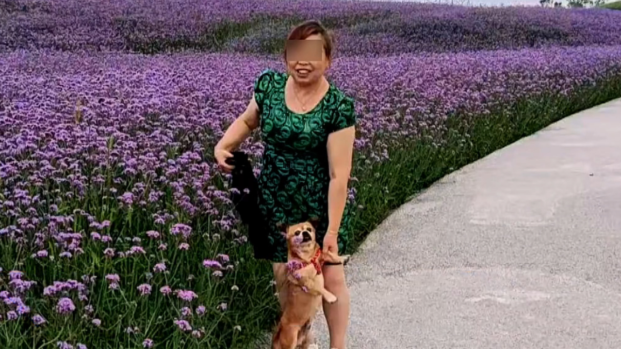 b1b292d5e4fc6d0429e3.png