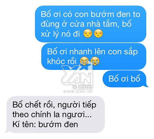 b1bc3aec8ac3aab77582.jpg