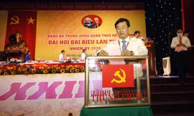 b1d33089246c3c0f8b84.jpg