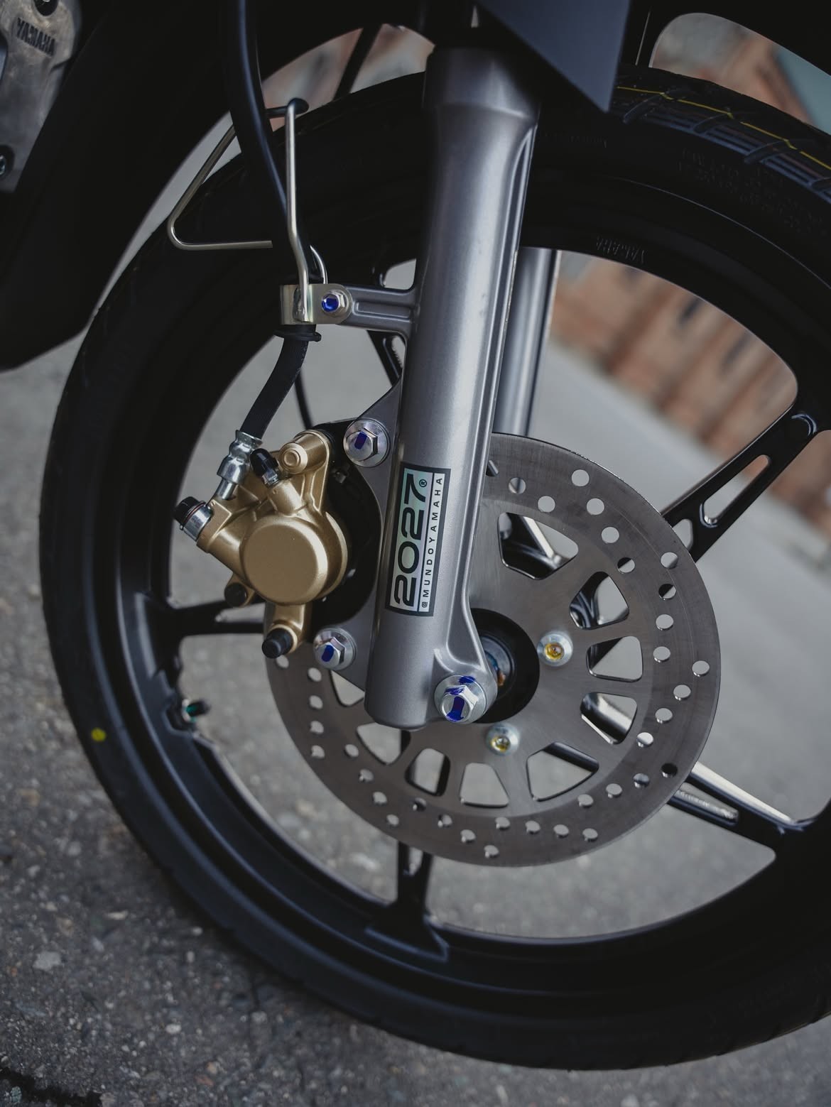 b20d8152e204bf5bc6a8.jpg