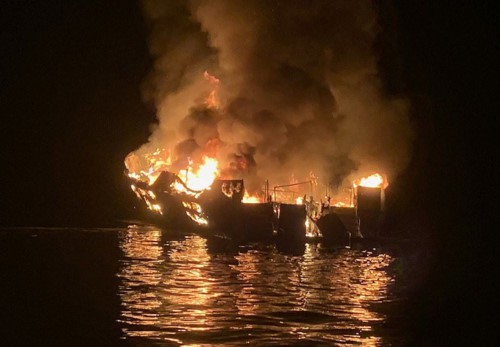 b22da3f50a09446b2a2d.jpg