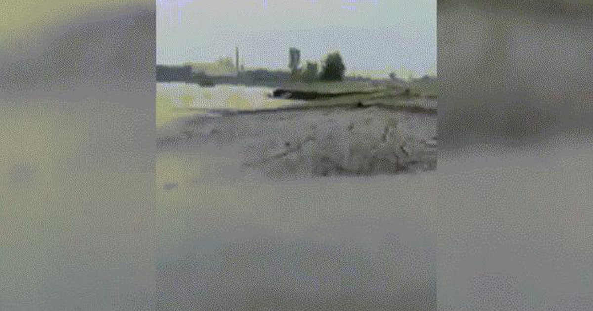 b2569225b91895d1ddde.jpg