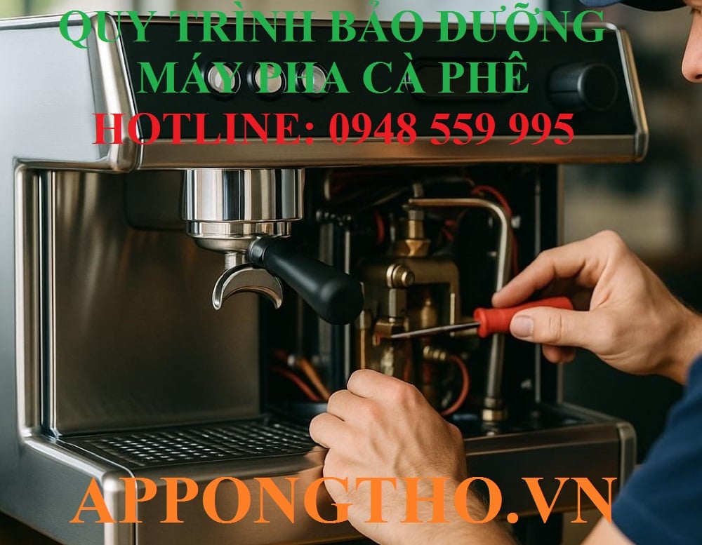 b28be21cfd2a6e792962.jpg