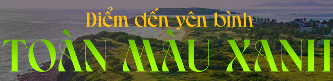 b29506b22e15575efd01.png