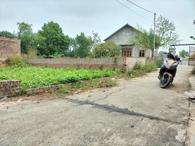 b2a93573cc1c64c4a74a.jpg