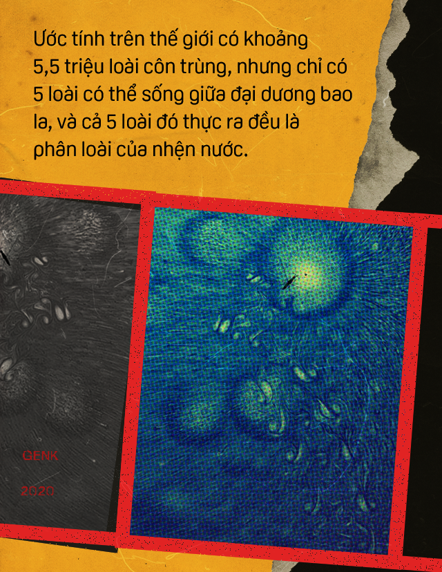 b2abaa71f5eb88e5c93b.png