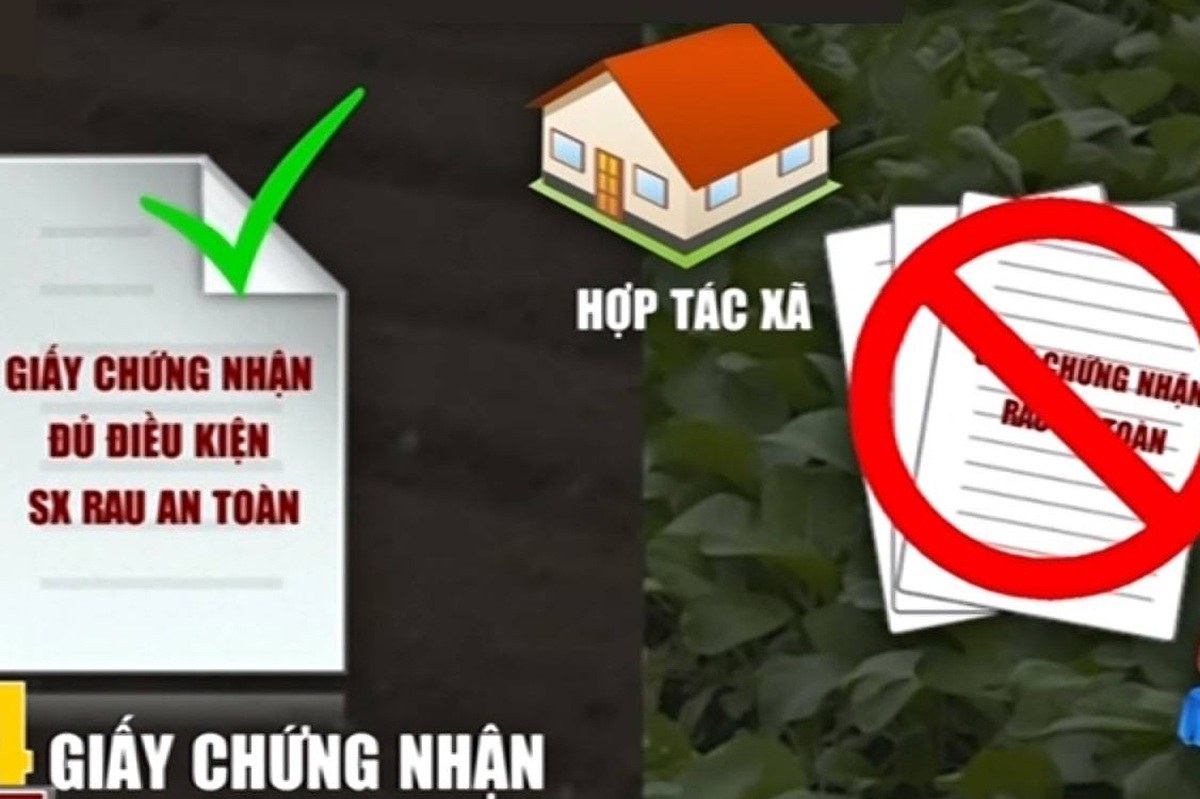 b2abde545be68cb9fc2e.jpg
