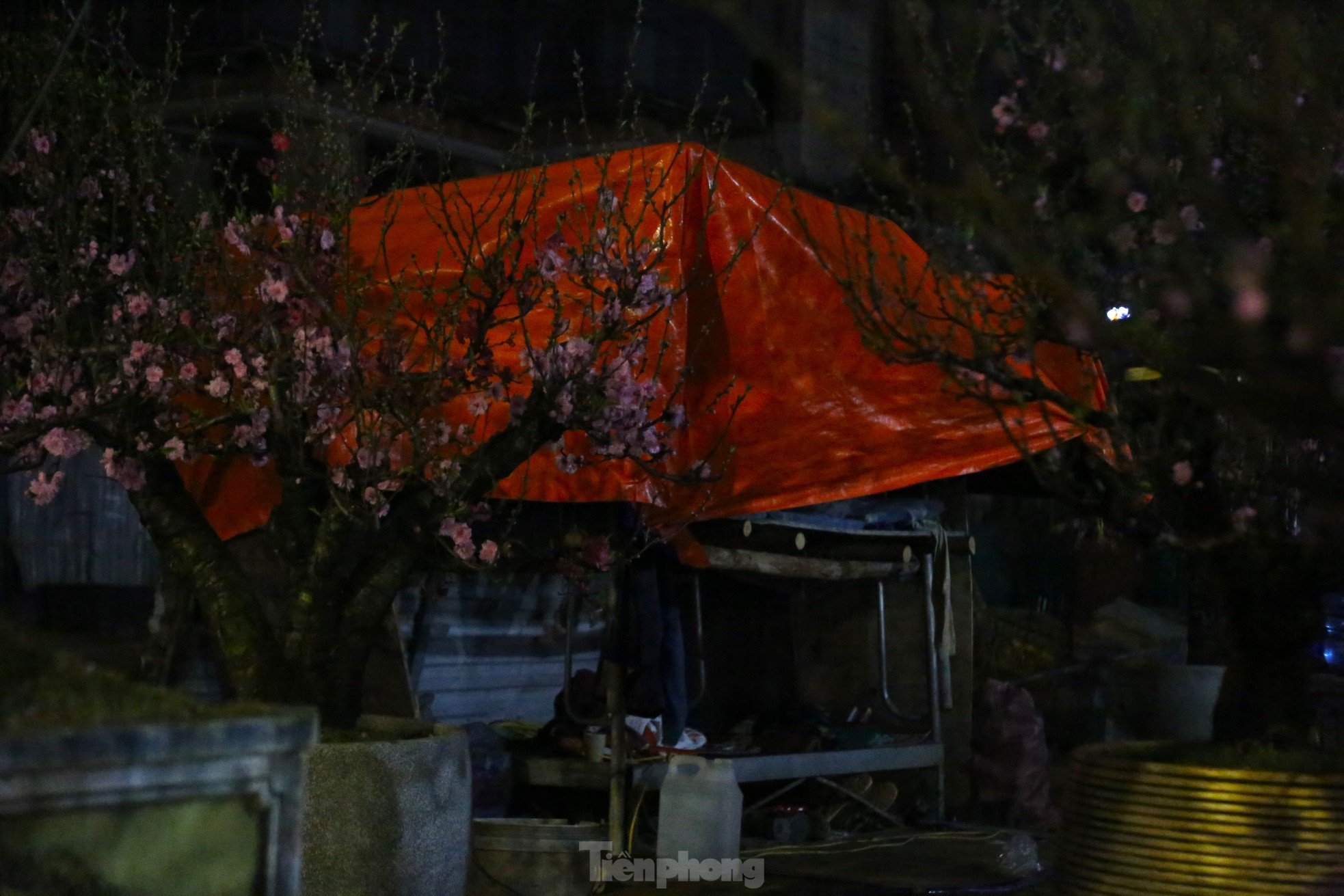b2b37e92c8ffa9ef41a0.jpg