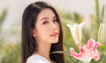 b2de95fc488c193cfee3.jpg