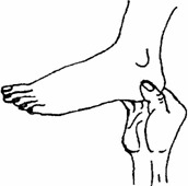 b2fe2a4e8ccbf2285bd9.jpg