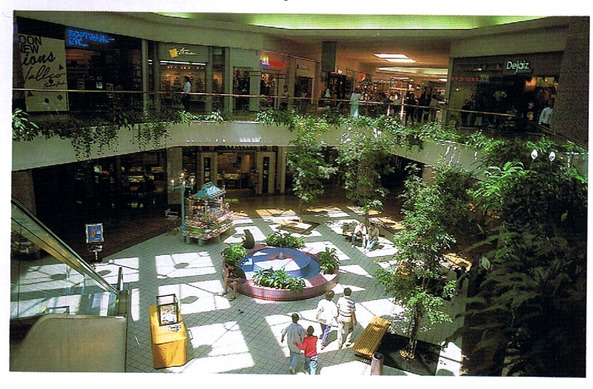 b3092fafebb19852d86e.jpg