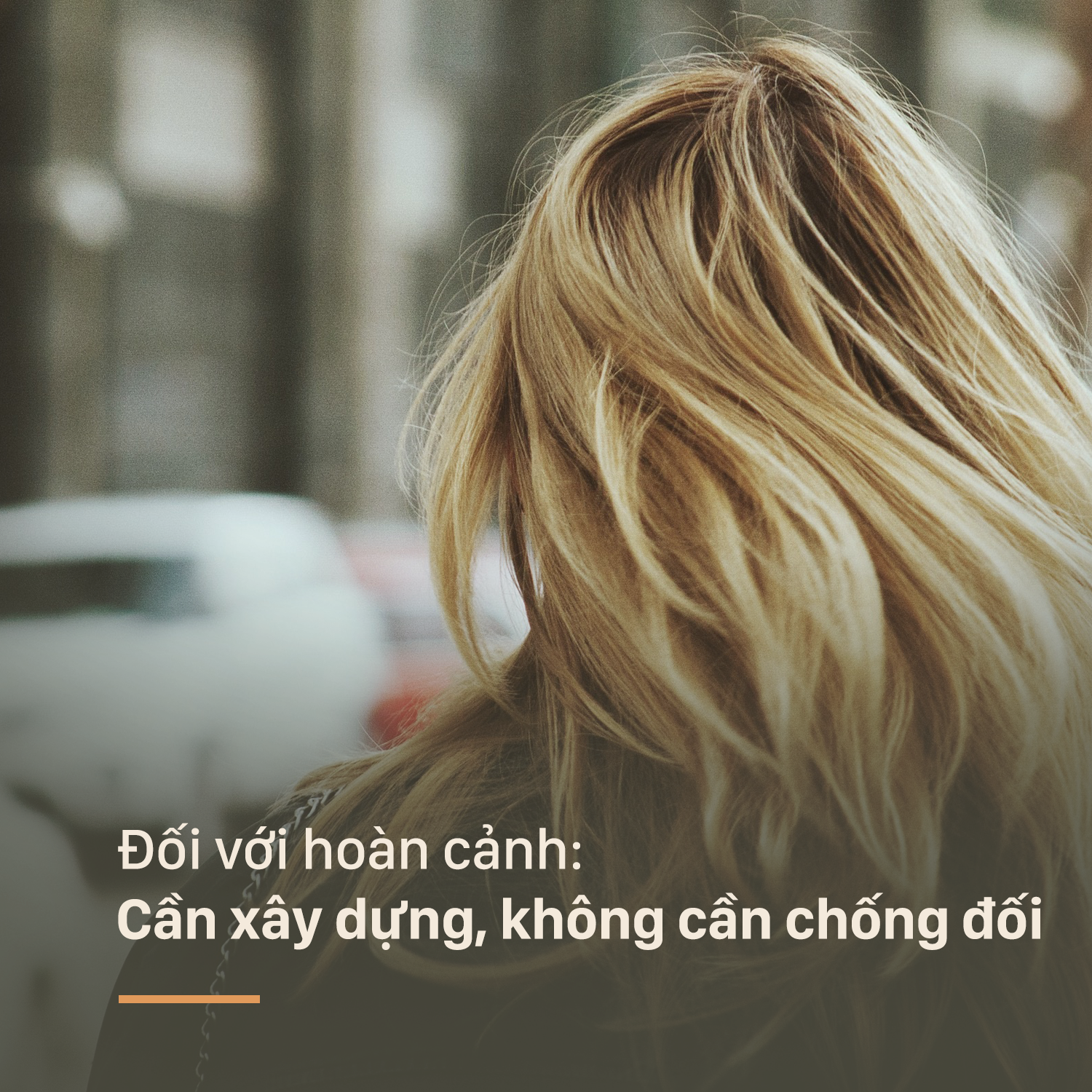 b315c980bae791011418.png