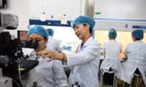 b32102ae5503309b2b23.jpg