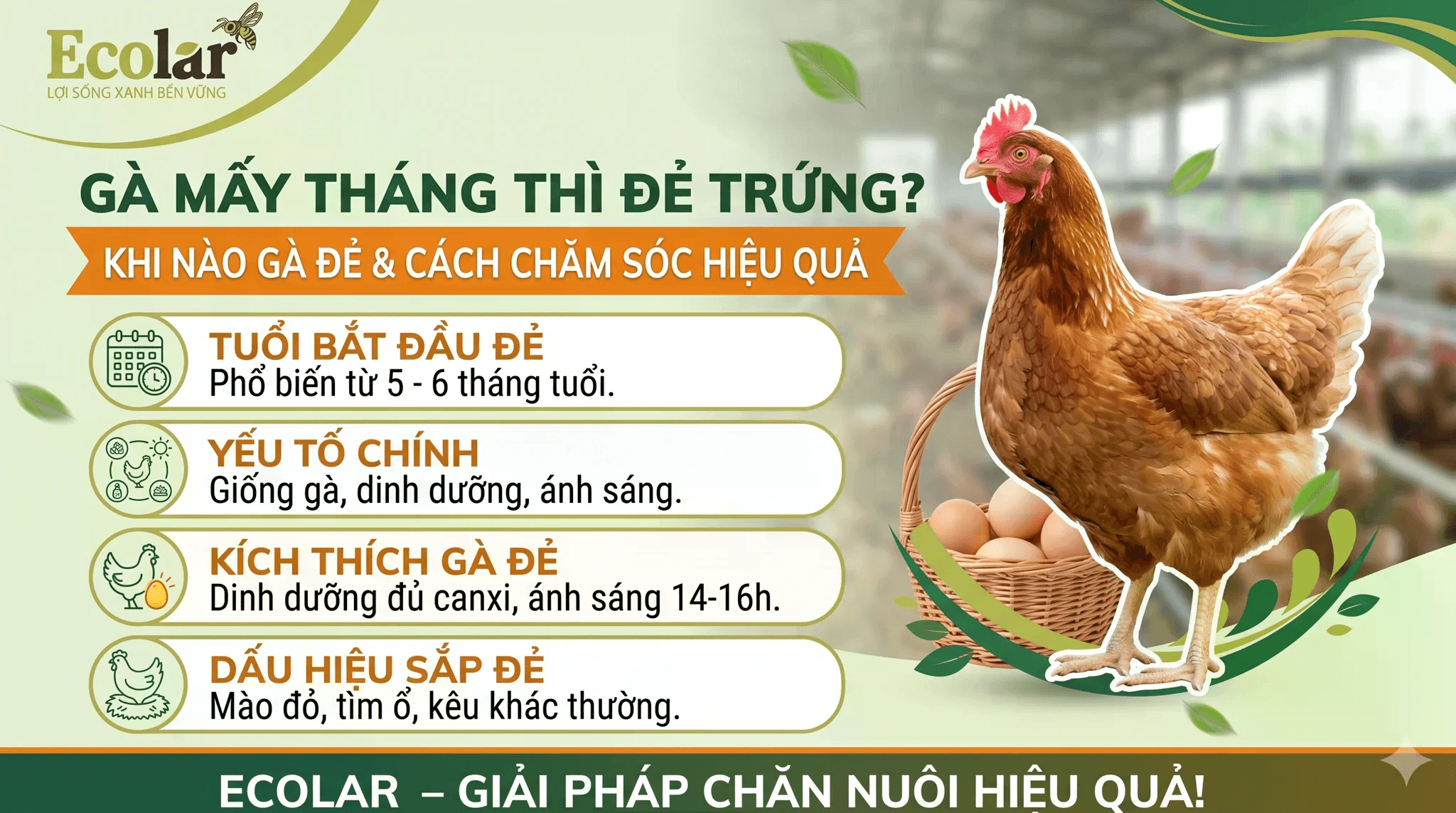 b321ff840716a2b3a3c4.png