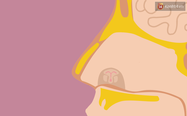 b355f251bcacf3bfd2ca.png