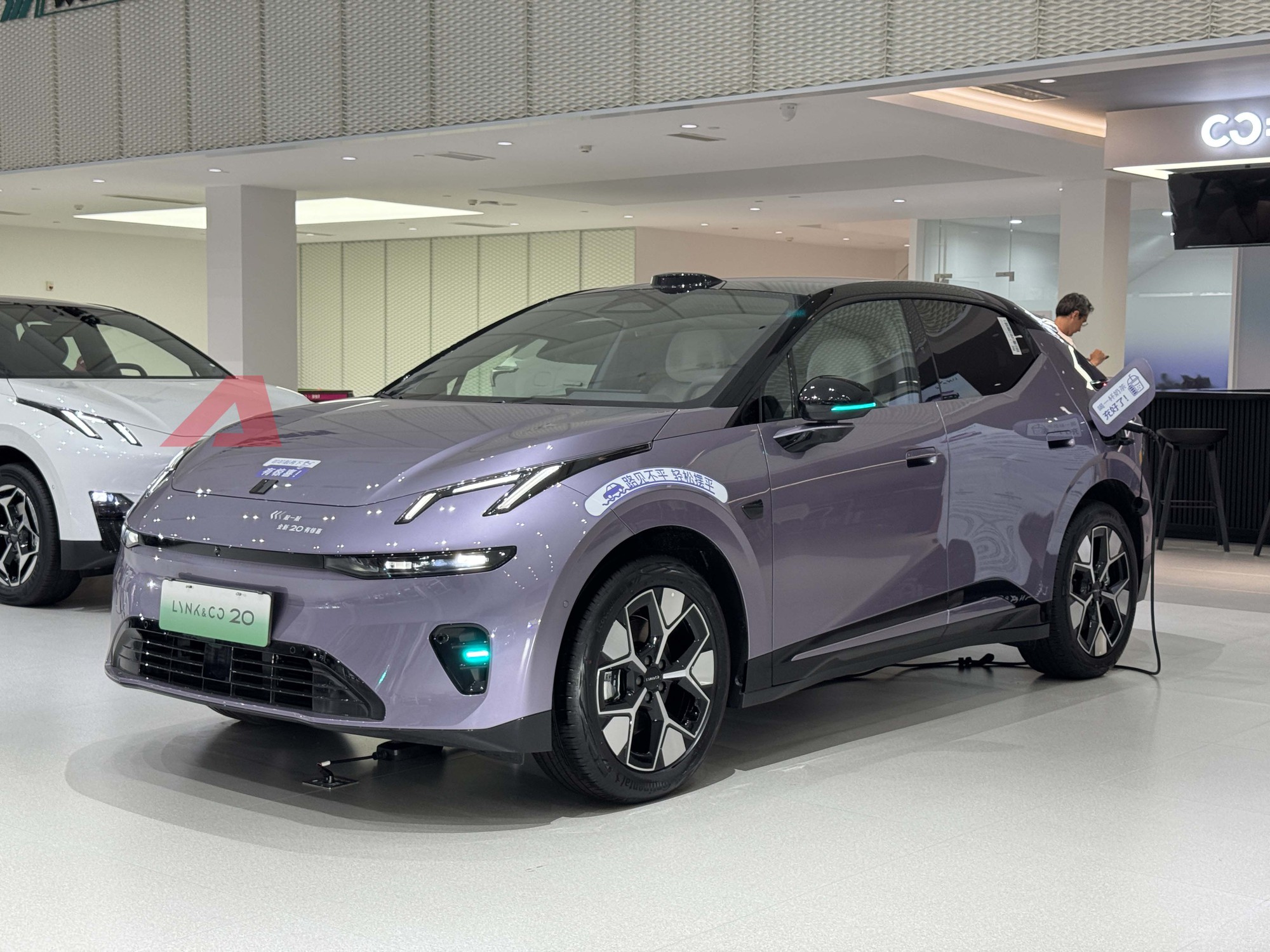 b379e2d1bcf2f5694bd8.jpg
