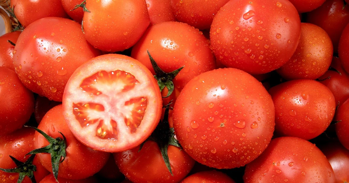 b393d44eae01b5fc4409.webp