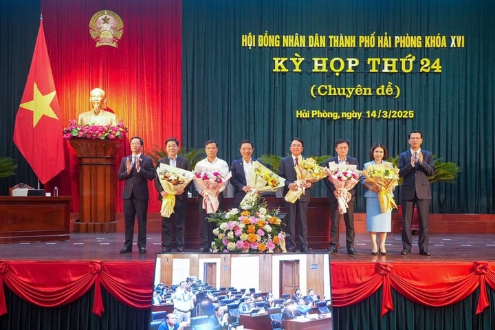 b393f13d201ff4b392d9.jpg