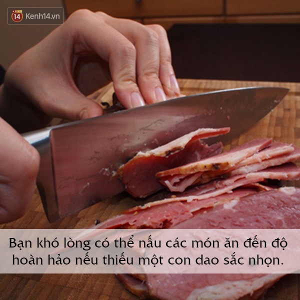 b397ceee6d33fa8e93c3.jpg