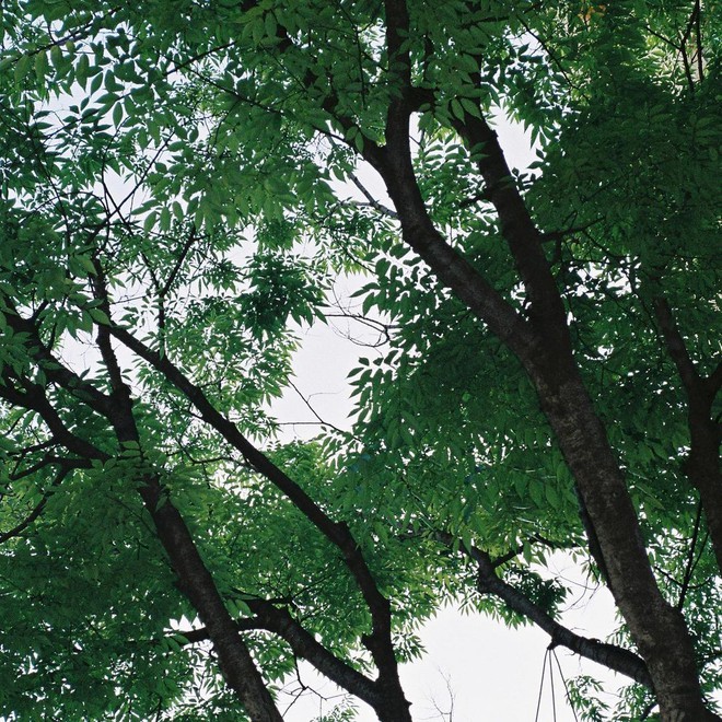b3aeccd1edf0b30f34d5.jpg