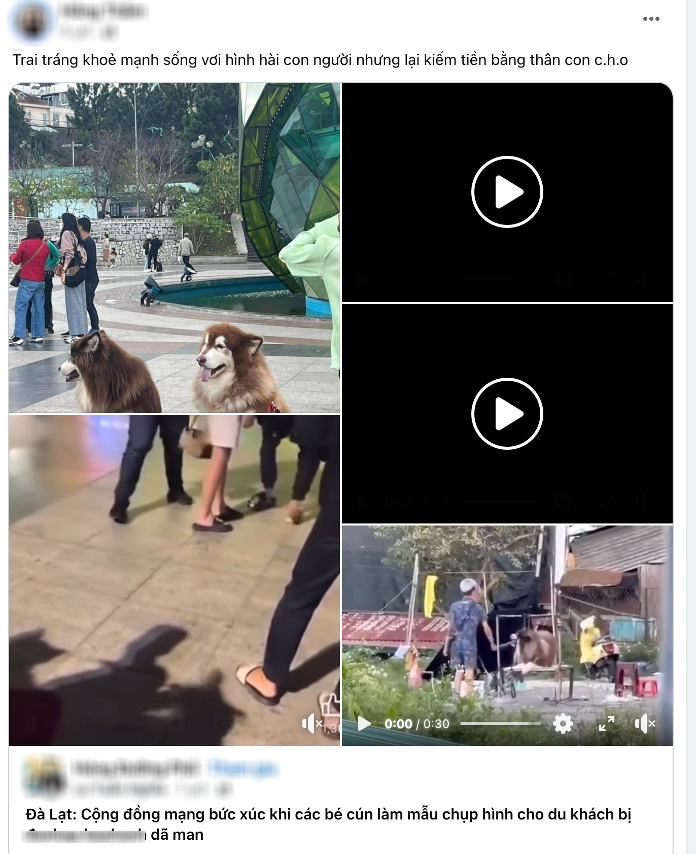 b3b15082edd76884dfb1.png