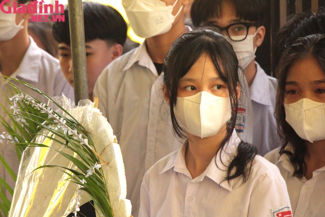 b42163c5aef379d95a21.jpg