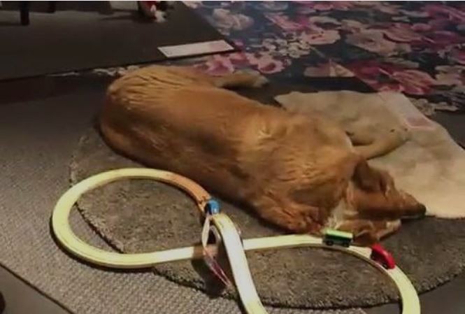 b43027bf481d696680a9.jpg