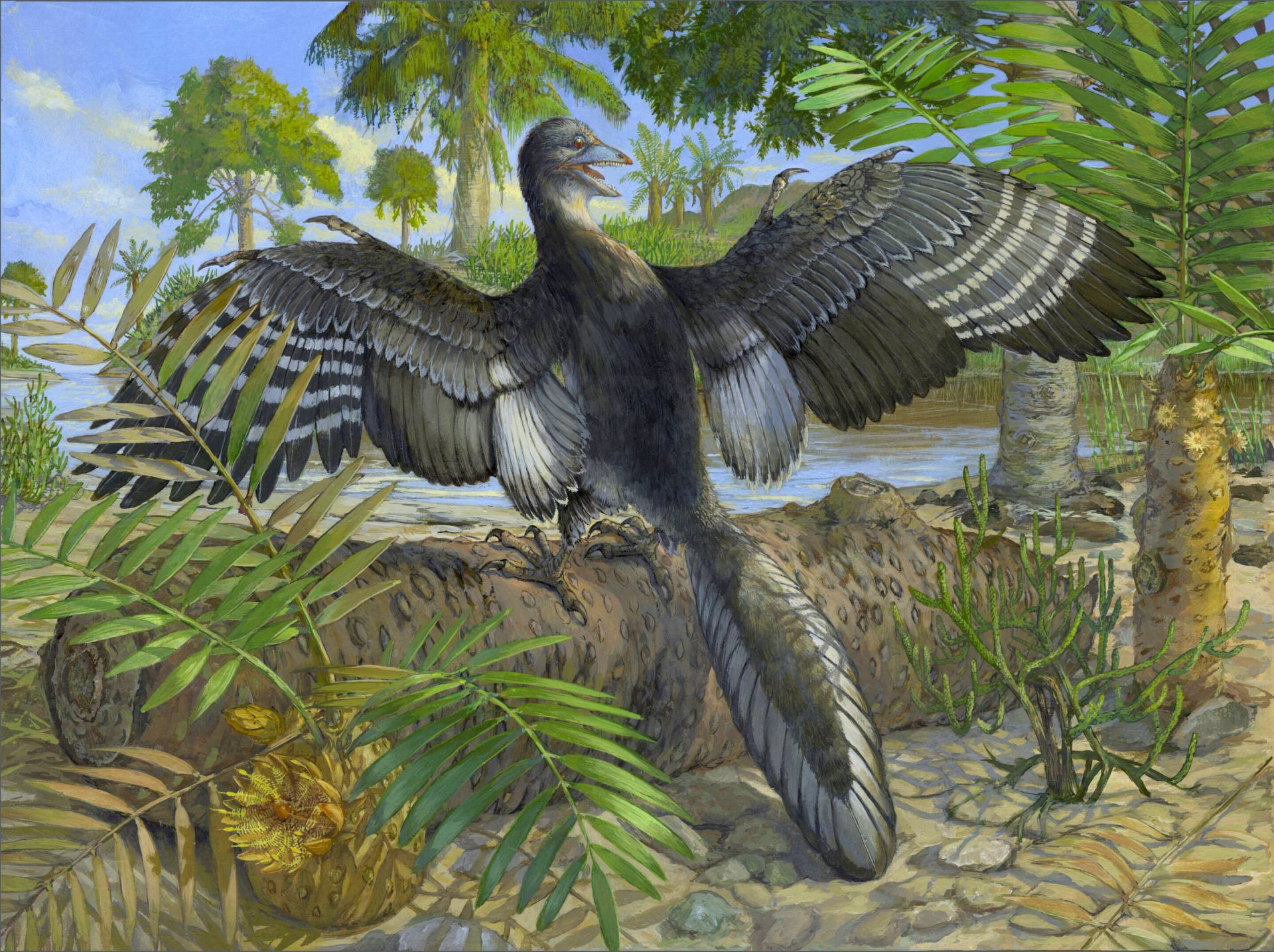 b4386900243ee191273d.jpg