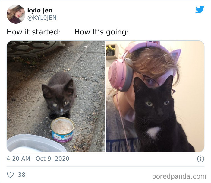 b45491de7a918229bad0.jpg