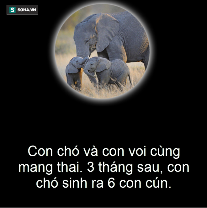b4658c6fb0e51d45aa08.png